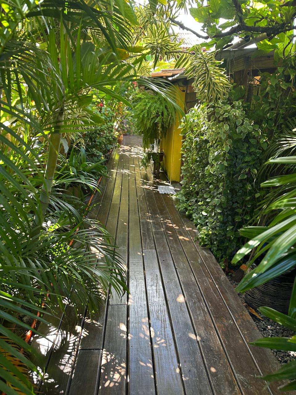 Jardim Tropical - Imagem 2